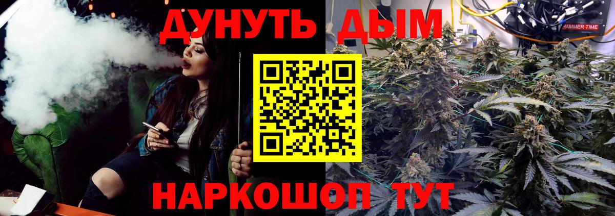 Бошки Шишки планчик  Конопля OG Kush  Петропавловск-Камчатский  Шишки марихуана THC 21%  Вход с VPN 